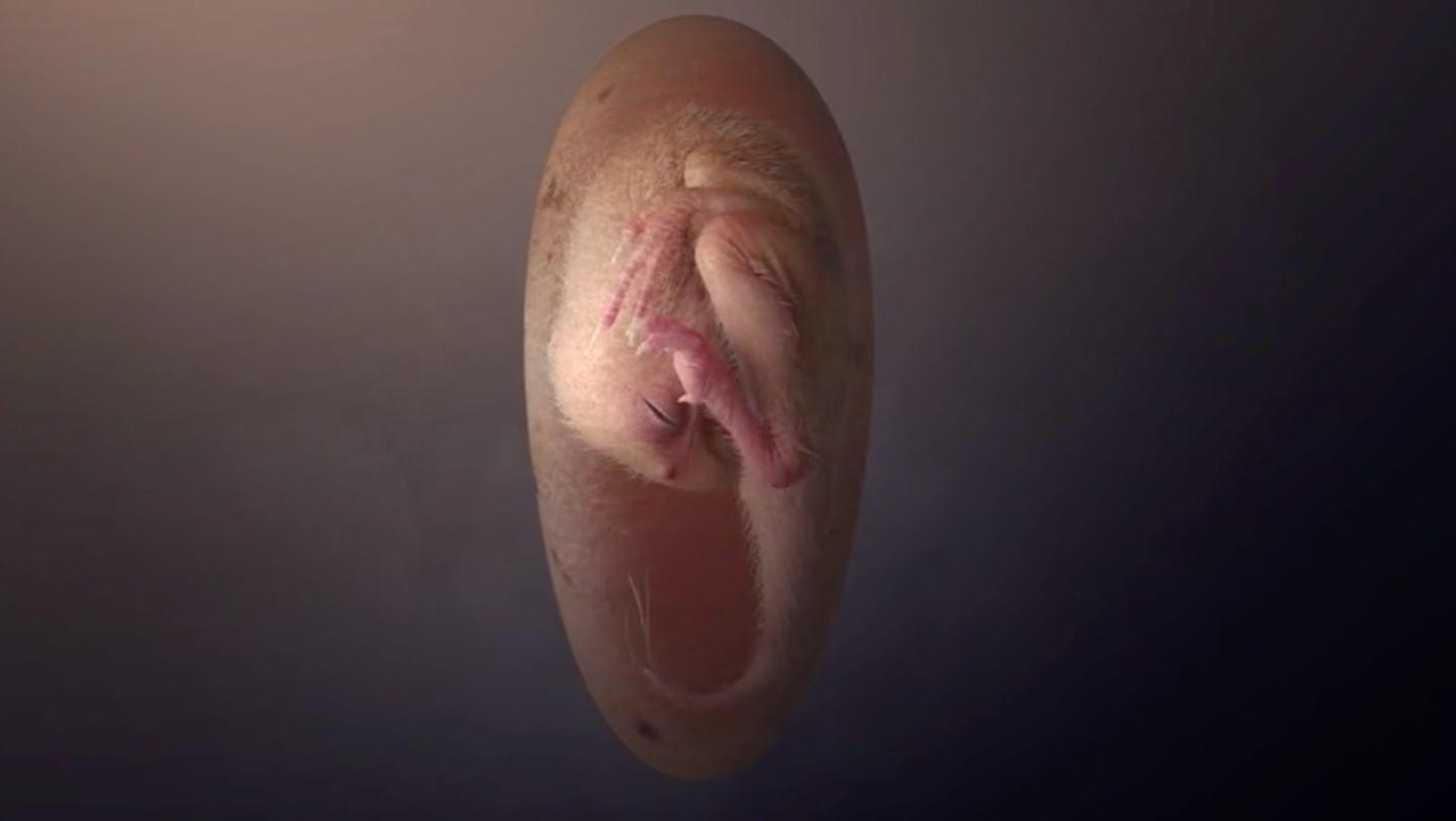 xxx xxx